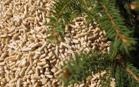 Il Pellet fa bene all'ambiete