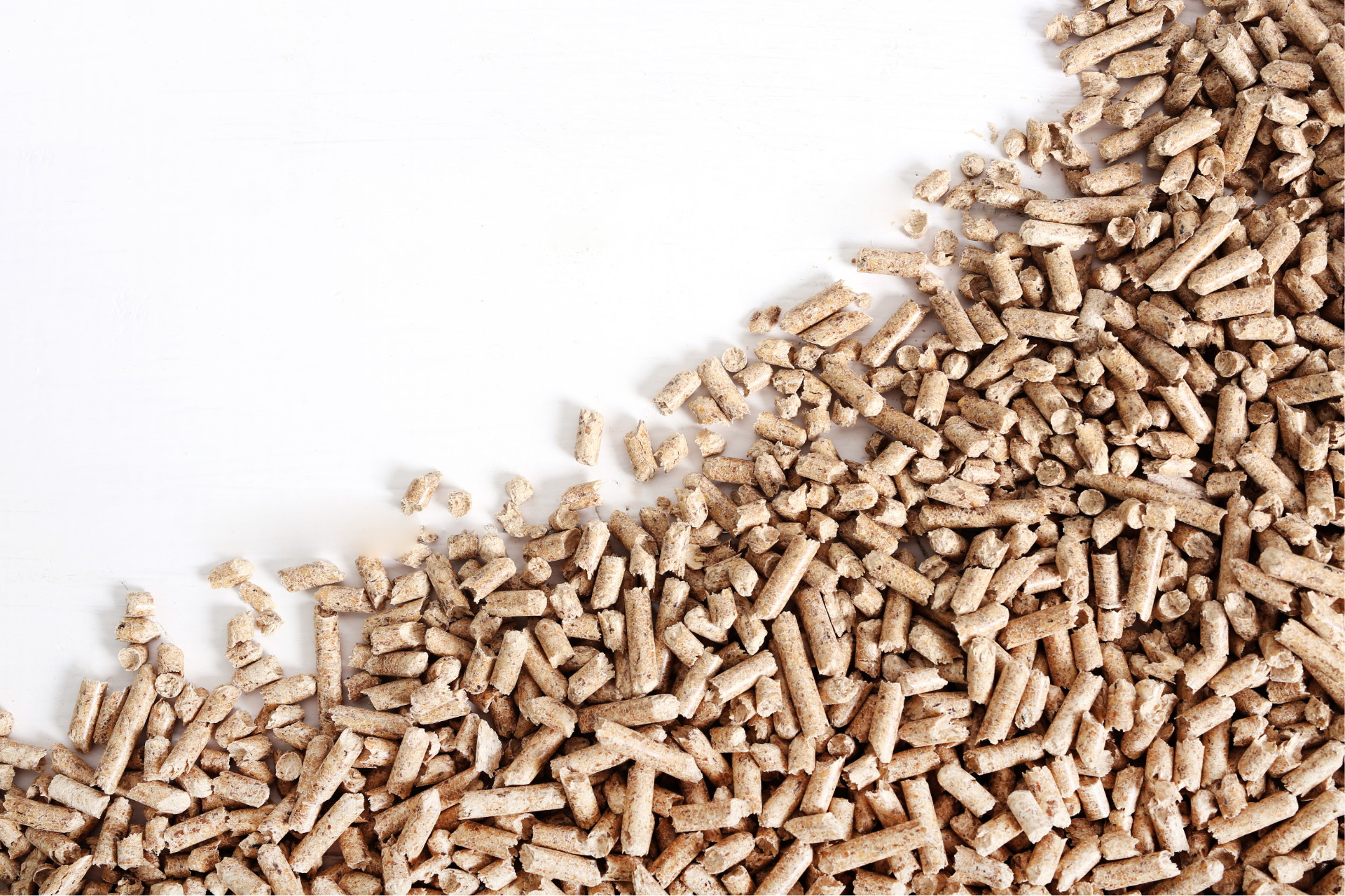 pellet